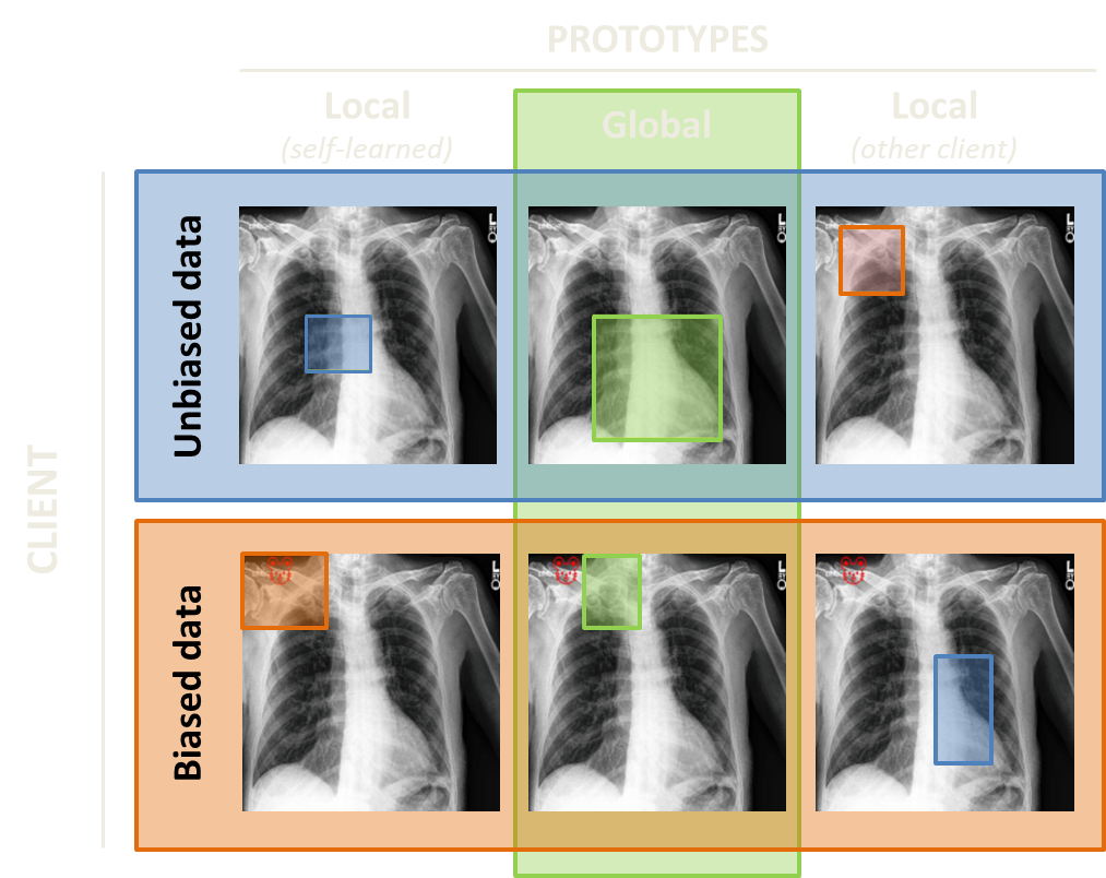 prototypes_cardio